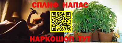 PSILOCYBIN Кингисепп
